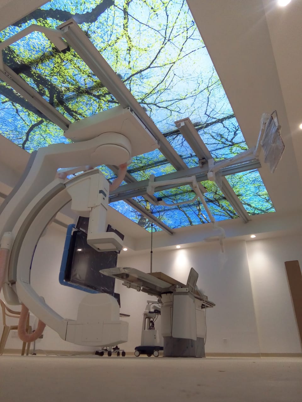 Mohan Associates - Seamless Medical Facility Setup